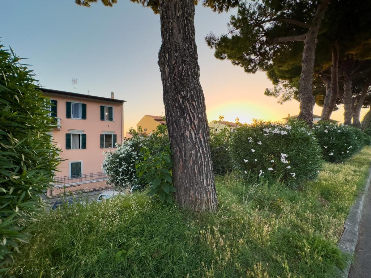 La Casa Di Eli Appartamenti 피사 외부 사진